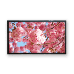 Digital Signage Display 3200-B