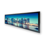 Stretch Digital Display 2869-Y